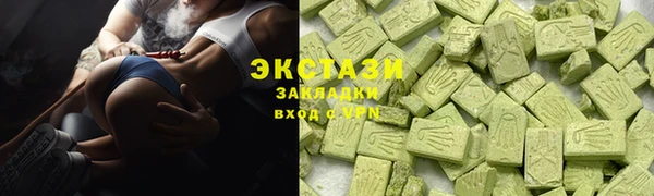 ECSTASY Инсар