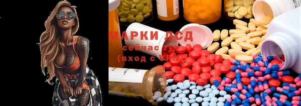 ECSTASY Алзамай