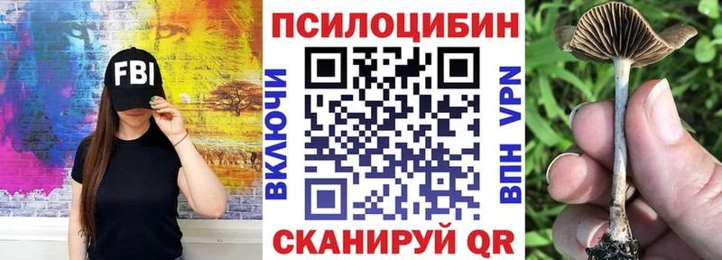 Псилоцибиновые грибы прущие грибы  mega зеркало  Ленинск-Кузнецкий 