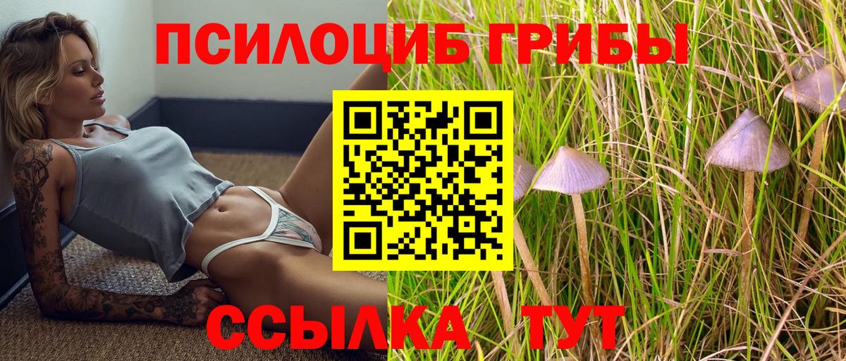 Галлюциногенные грибы ЛСД Ленинск-Кузнецкий